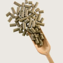 blubble navi derby leckerli